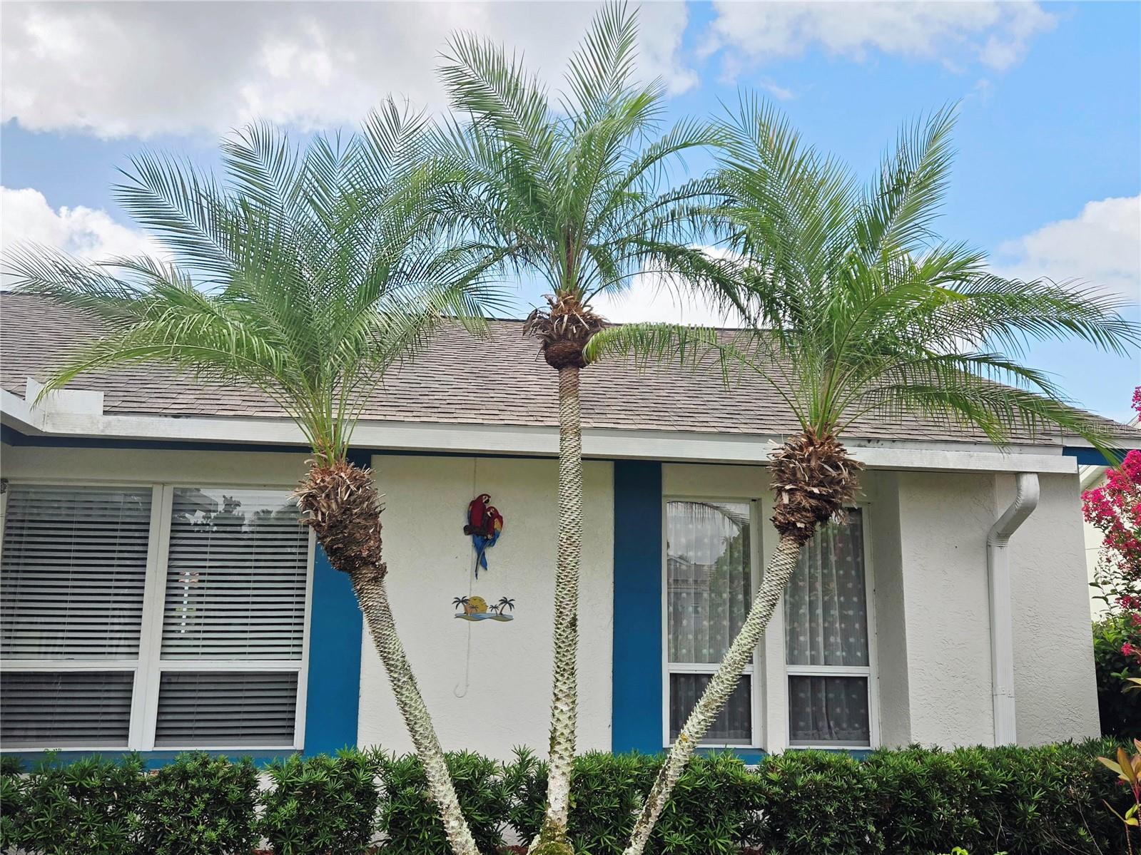 4236 Pro Am Ave E Property Photo 68