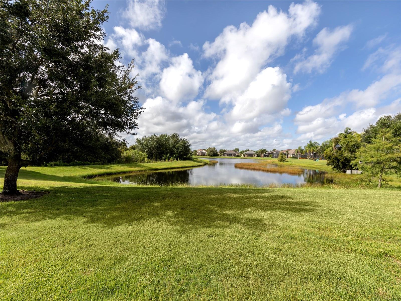 11406 Belvedere Ter Property Photo 19