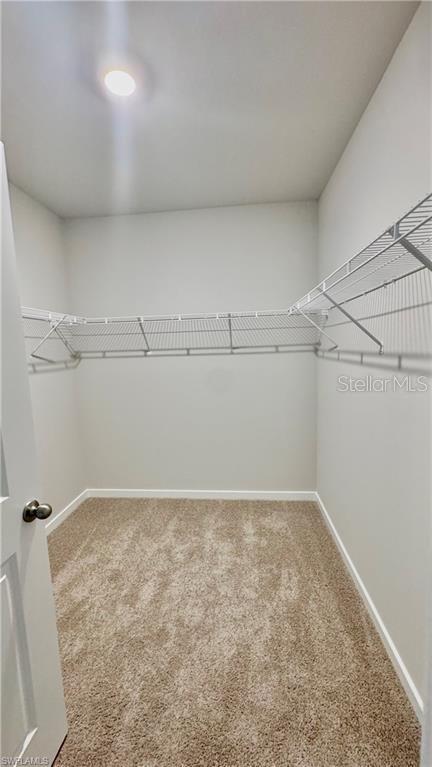 17710 Shade Tree Loop Property Photo 14