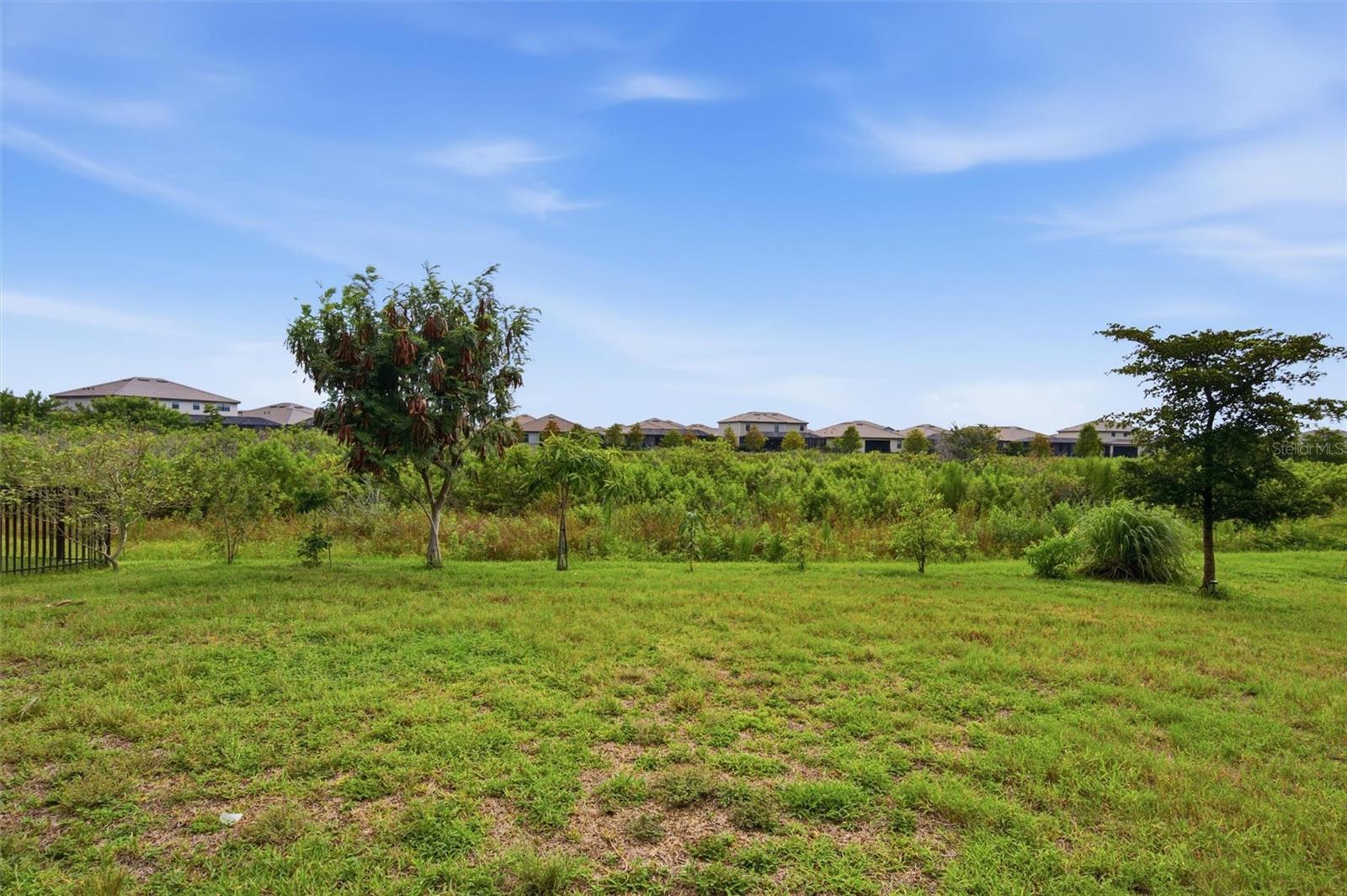 15335 Serene Shores Loop Property Photo 3