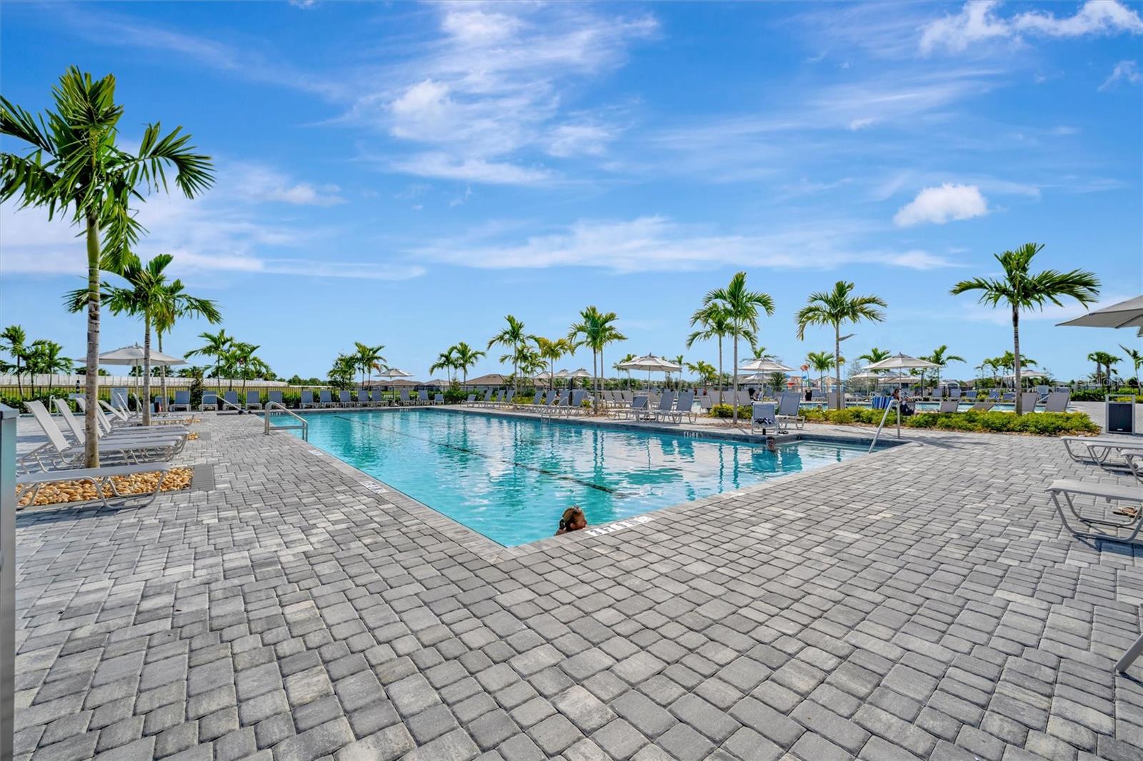 15335 Serene Shores Loop Property Photo 68