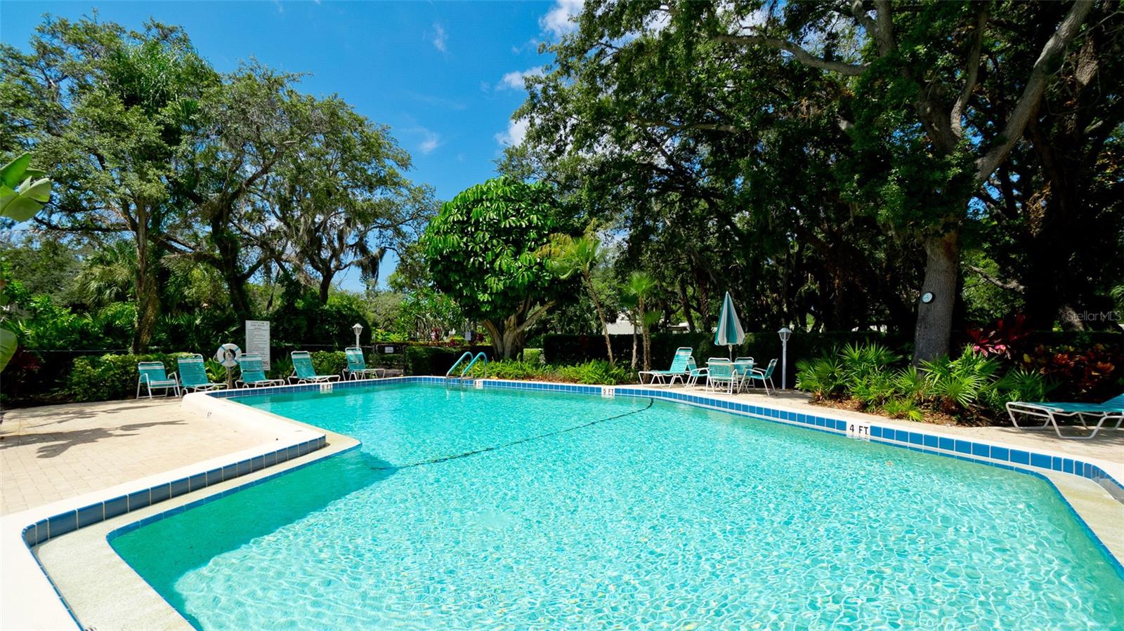 440 Palm Tree Dr #n/a Property Photo 21