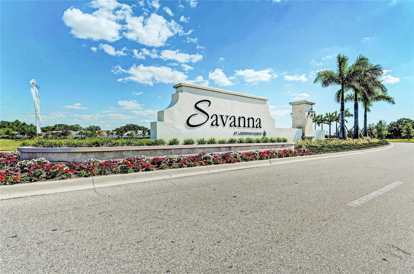 3512 Savanna Palms Ct Property Photo 48