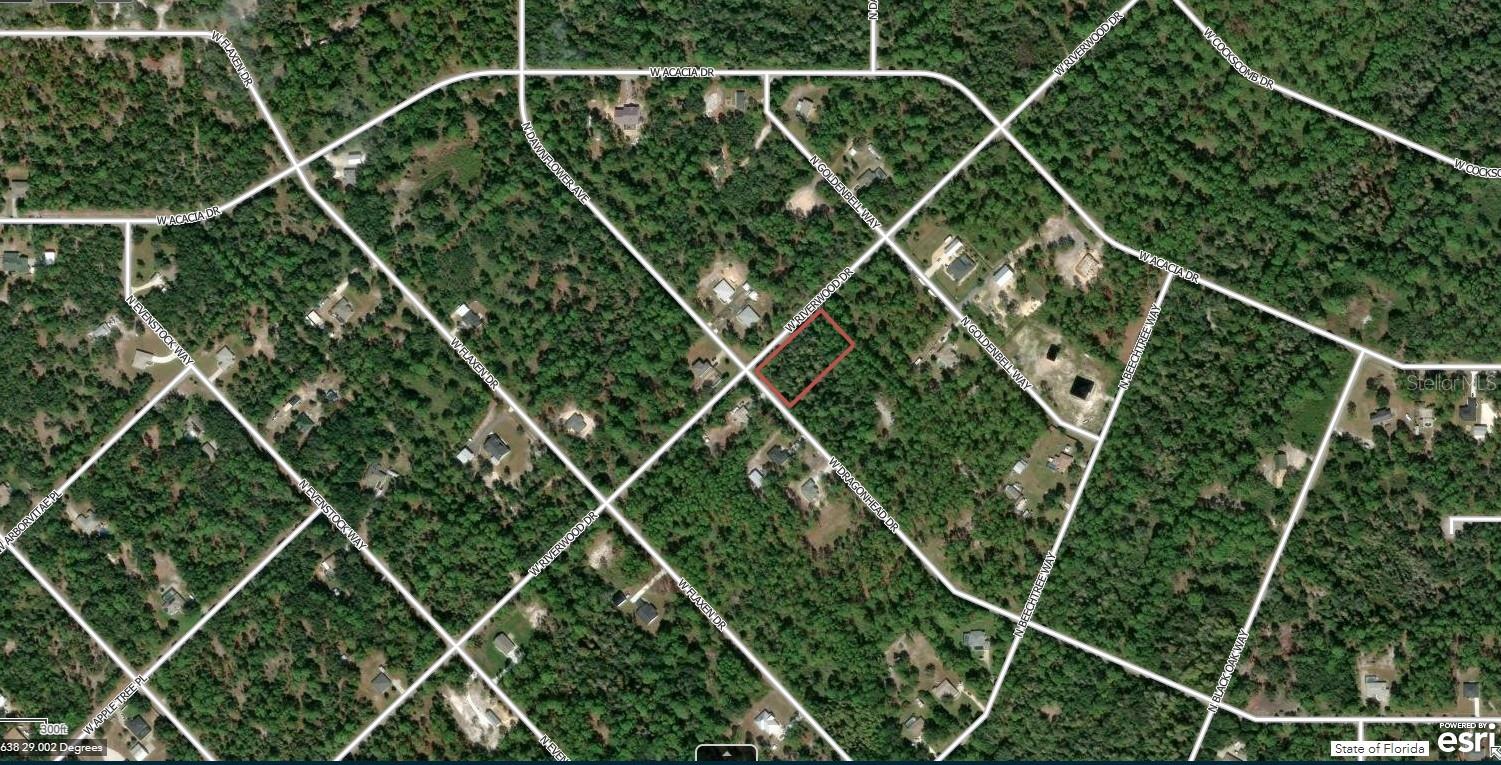 11645 W Dragonhead Dr Property Photo 2