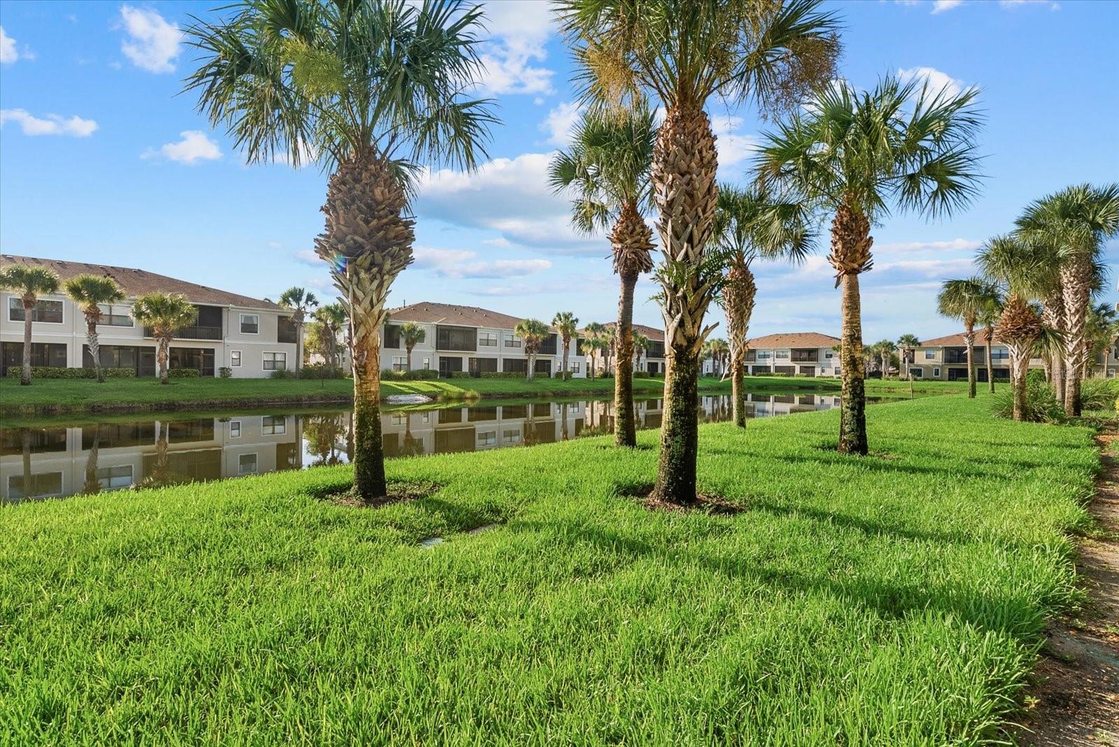 4190 Overture Cir #511 Property Photo 29