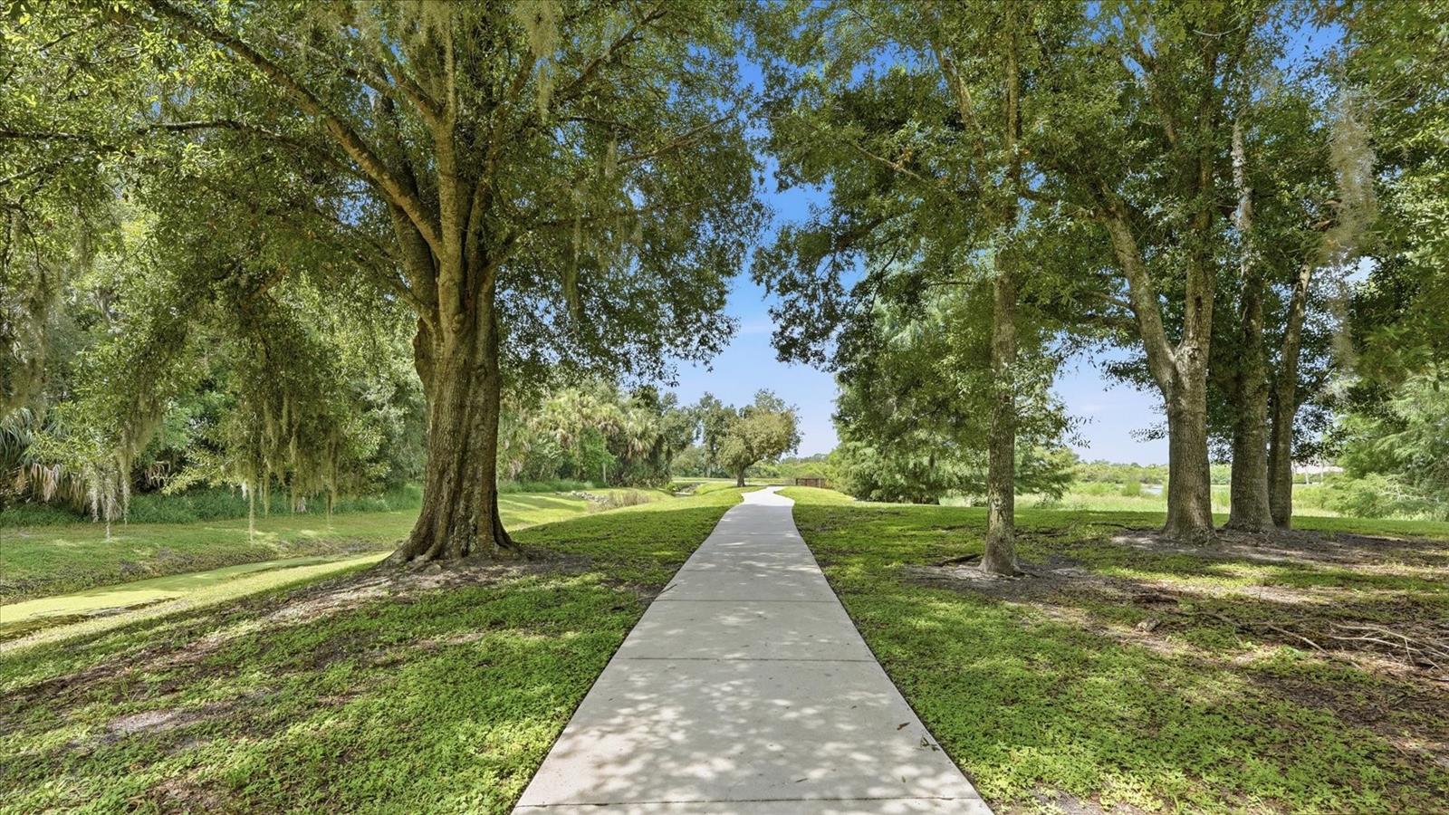 12231 Lavender Loop Property Photo 39
