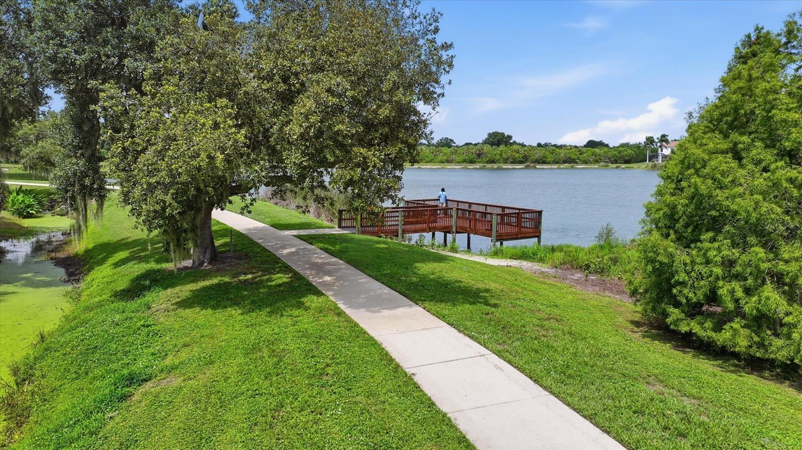 12231 Lavender Loop Property Photo 44