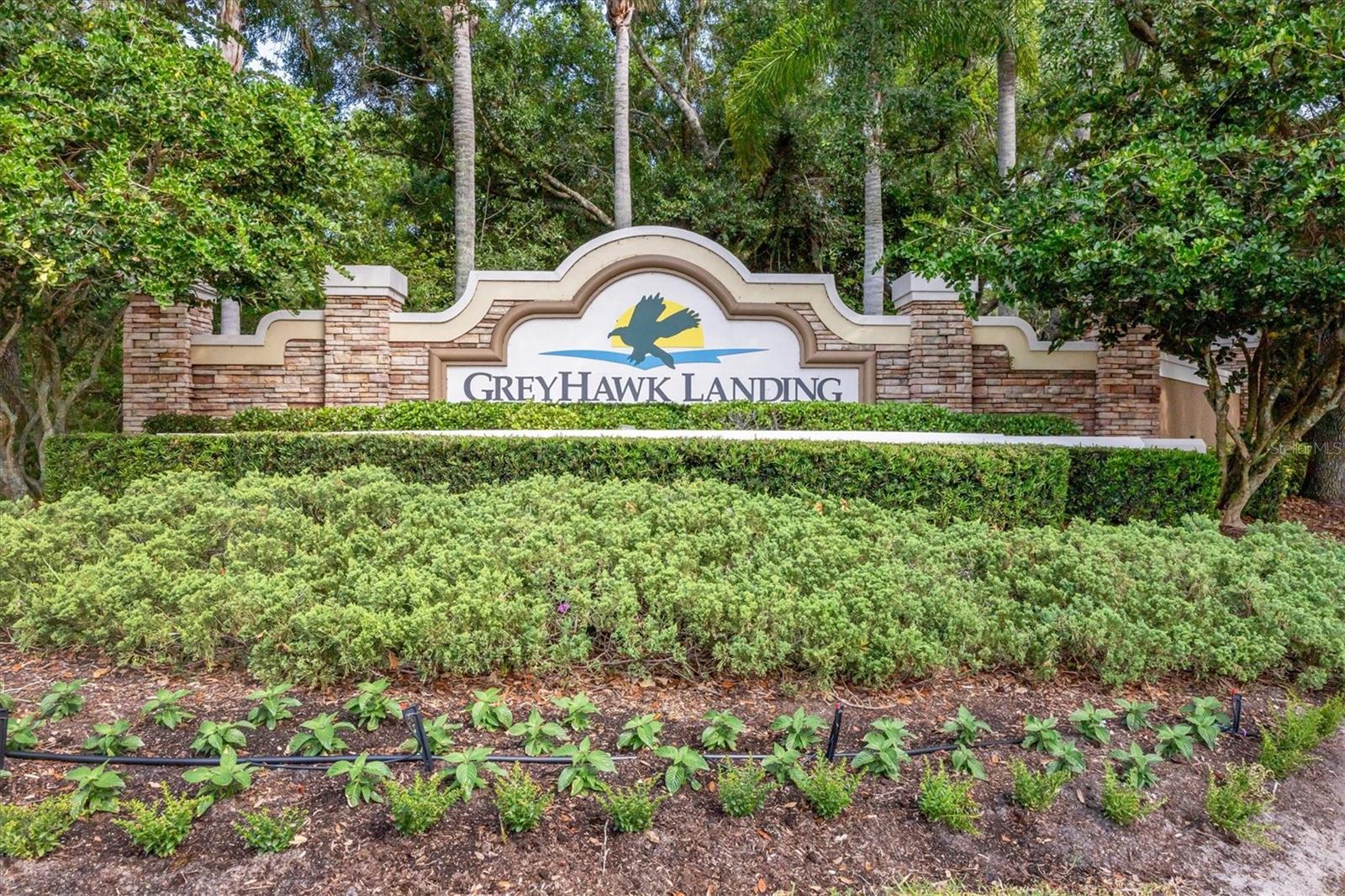 12231 Lavender Loop Property Photo 54
