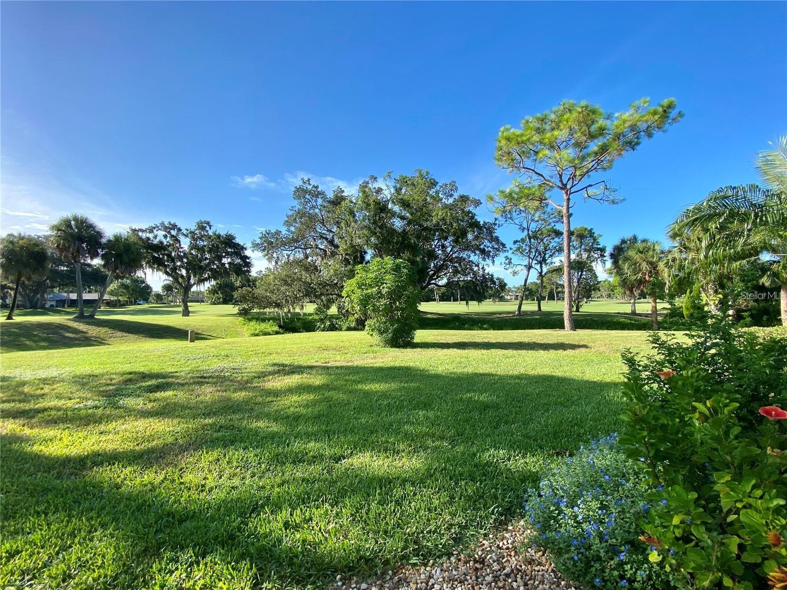 3625 Longmeadow #40 Property Photo 36