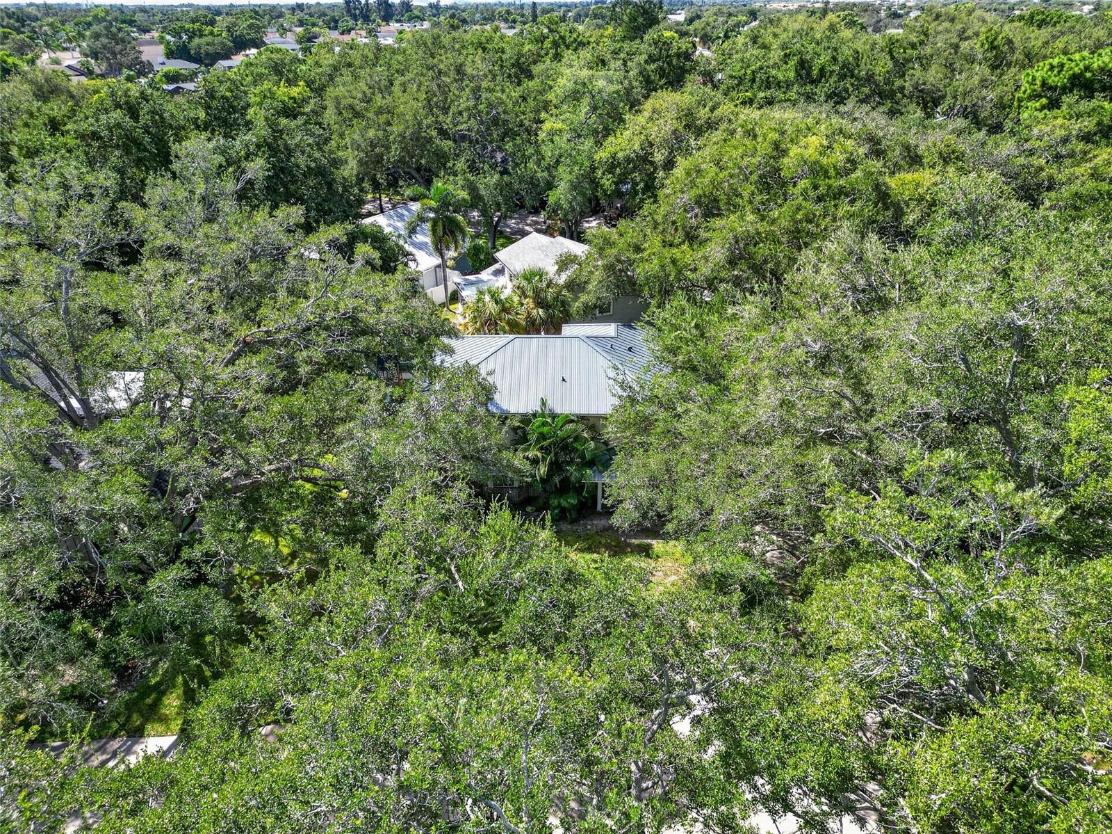 6812 Arbor Oaks Dr Property Photo 58