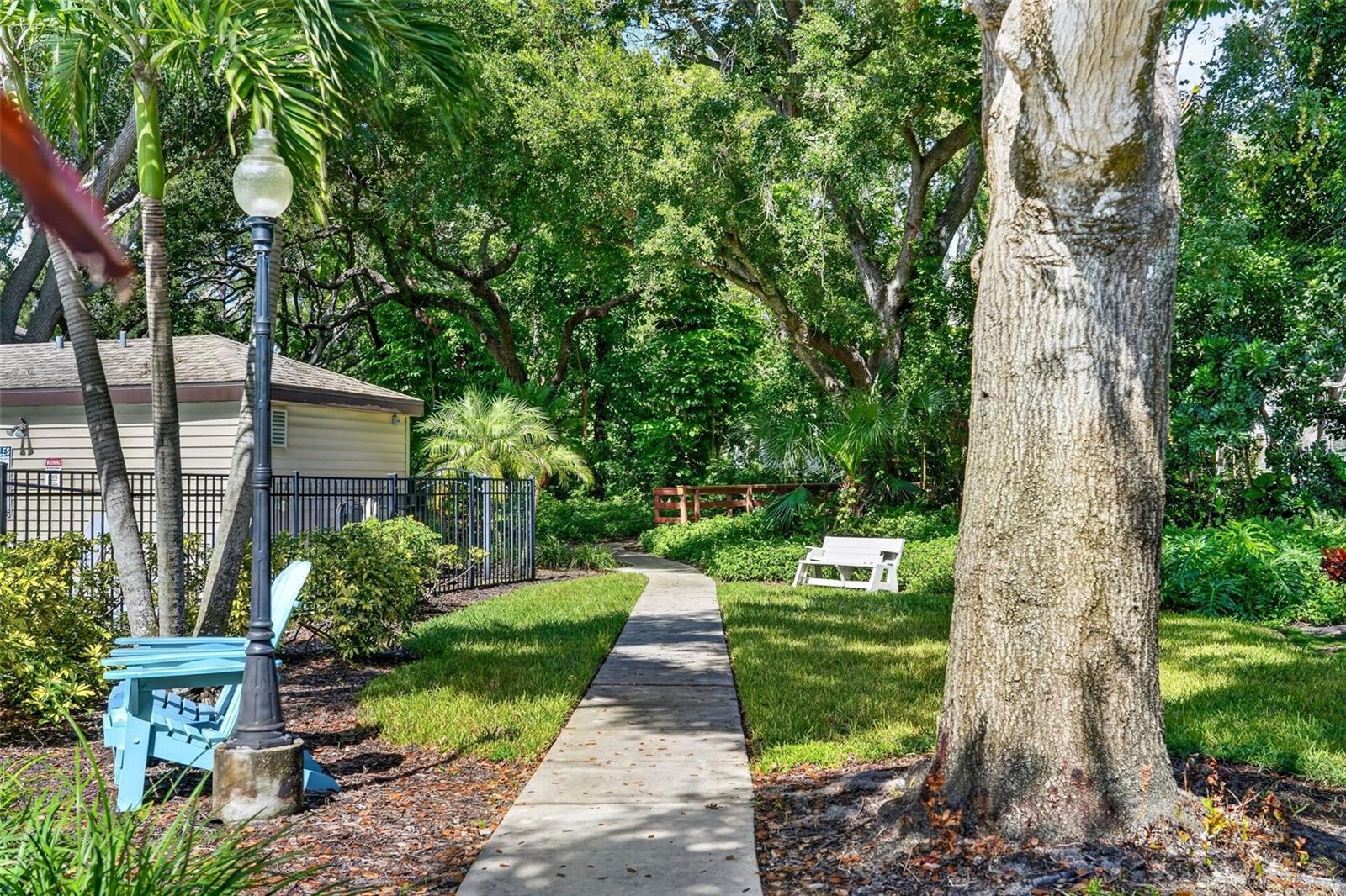 6812 Arbor Oaks Dr Property Photo 67