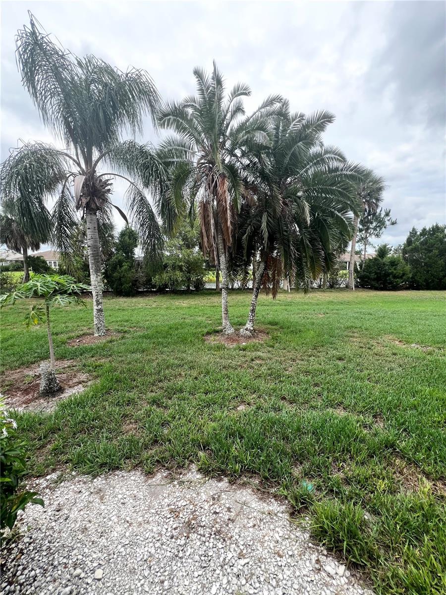 6214 Draw Ln #4 Property Photo 28