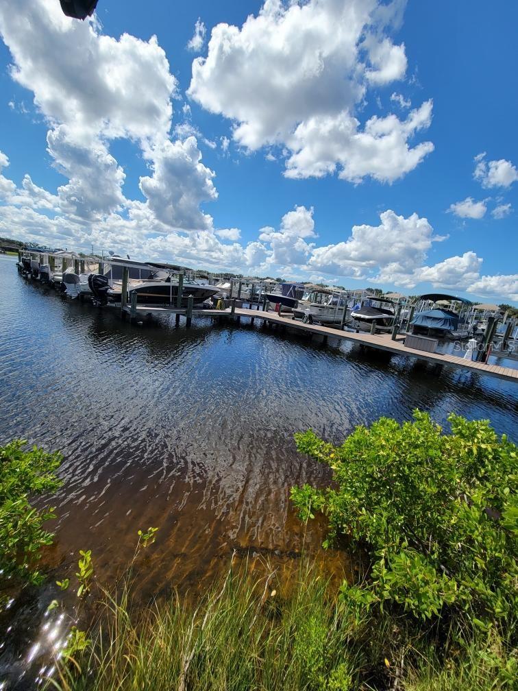 5117 Tidewater Preserve Blvd Property Photo 22