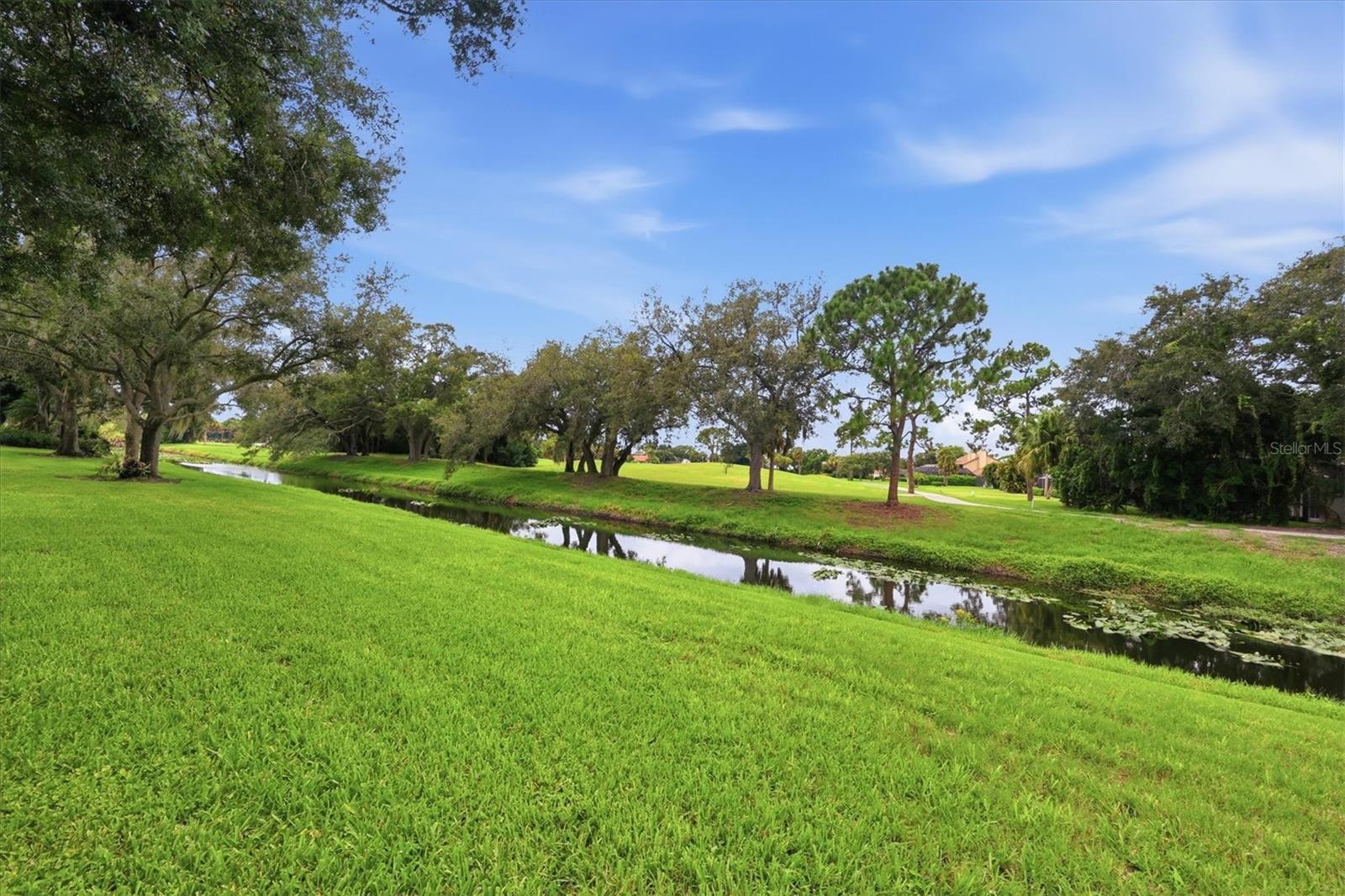 7596 Calle Facil Property Photo 49