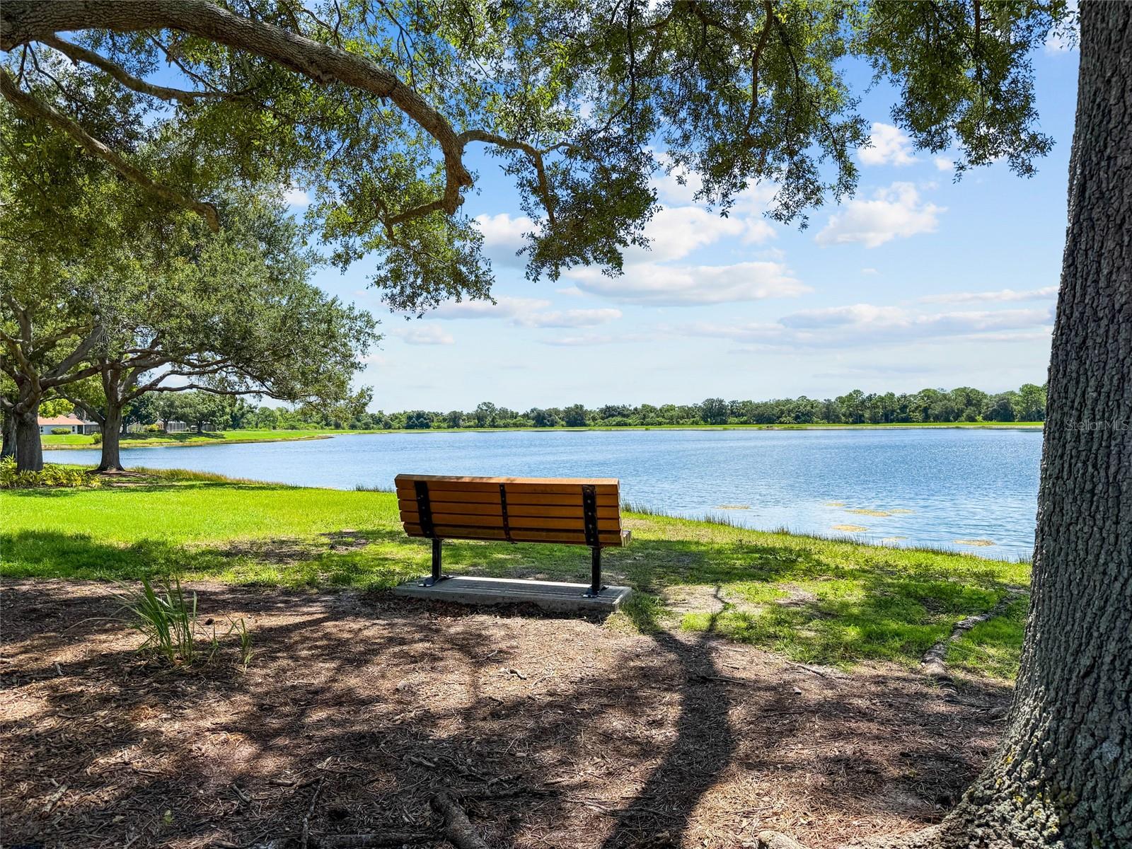 12530 Rockrose Gln Property Photo 46