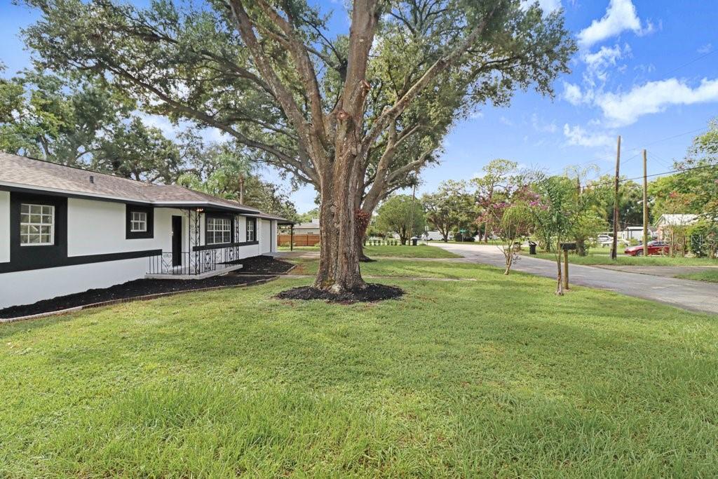 12113 Midlake Dr Property Photo 5