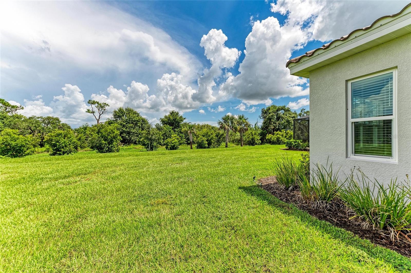 2802 Butterfly Jasmine Trl Property Photo 45