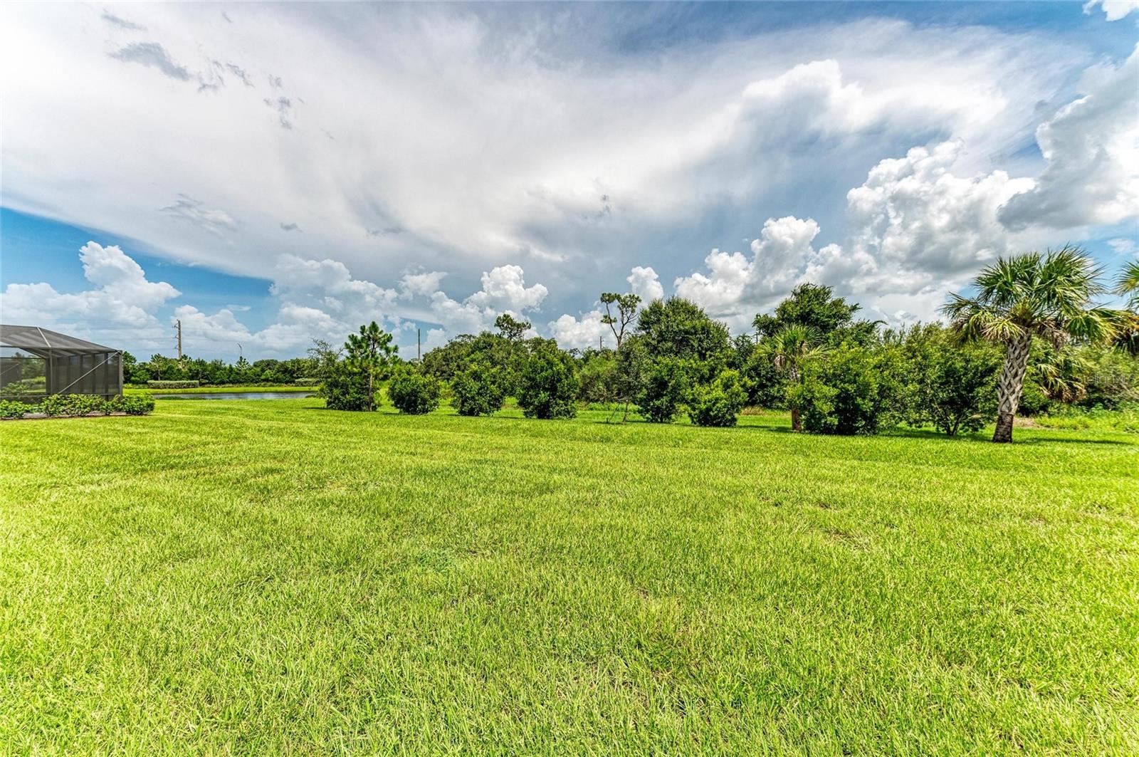 2802 Butterfly Jasmine Trl Property Photo 46