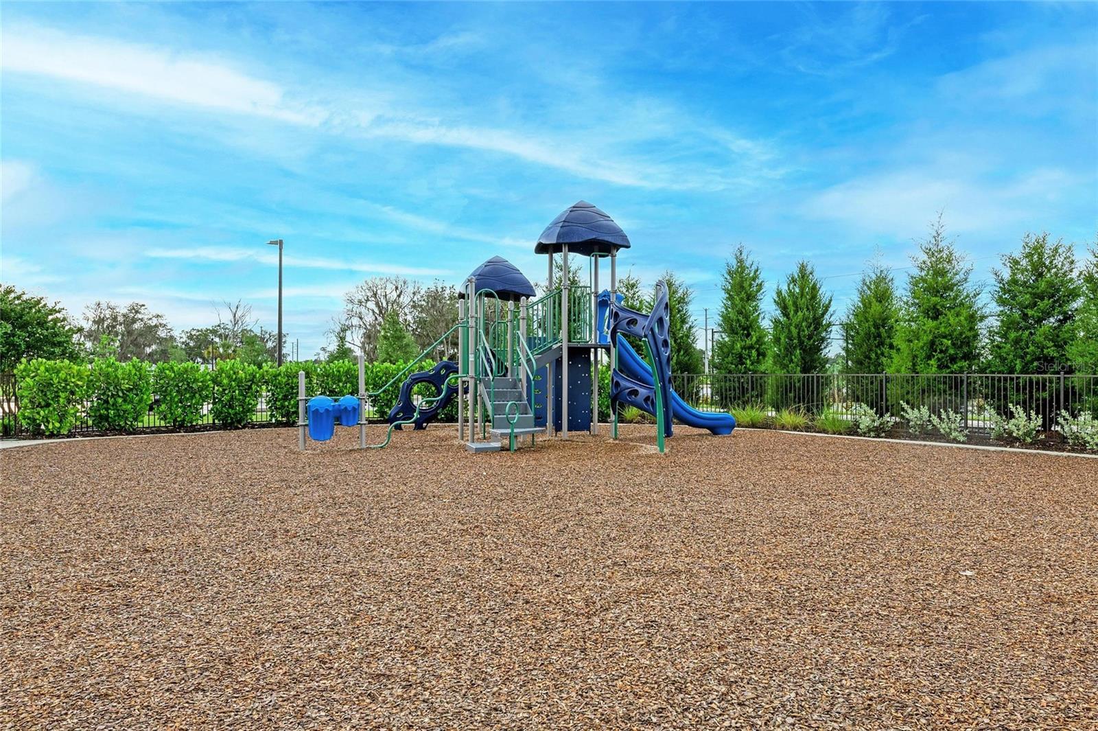 2802 Butterfly Jasmine Trl Property Photo 61