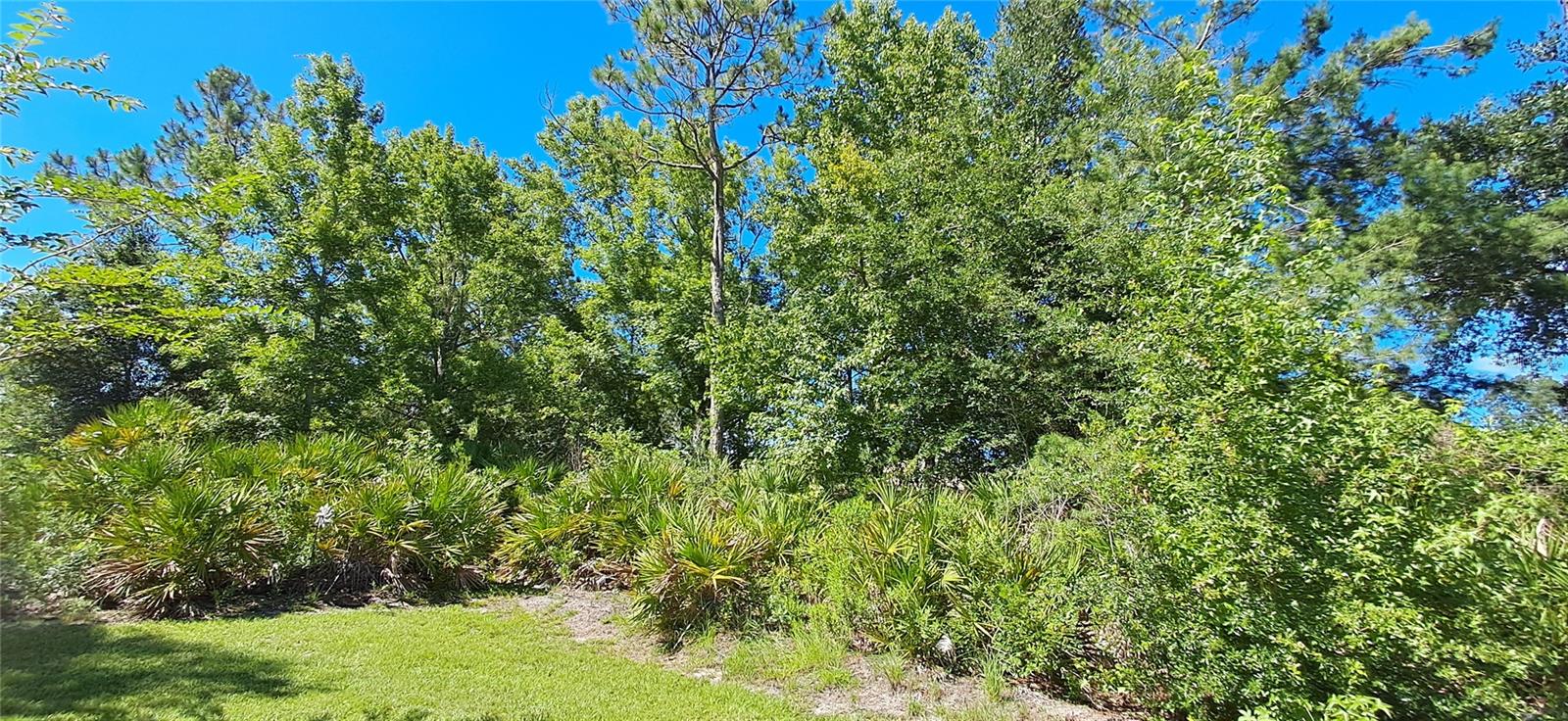 16 Princeton Ln Property Photo 35