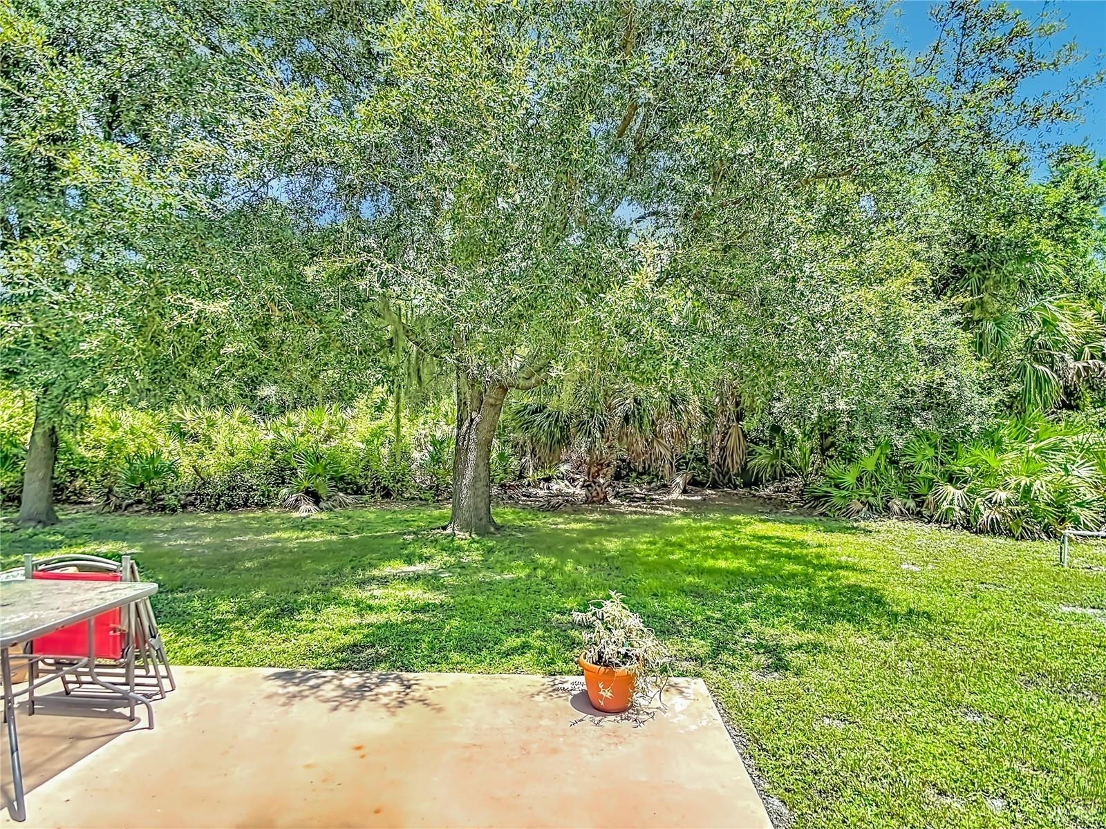 3344 Pericles Ave Property Photo 41