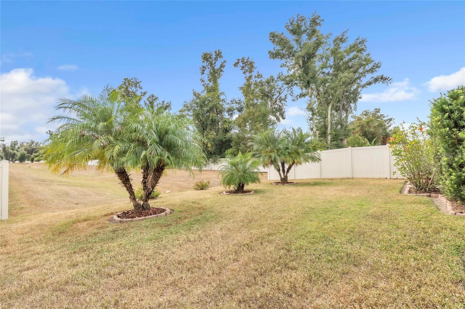 9527 Sunstone Blvd Property Photo 26
