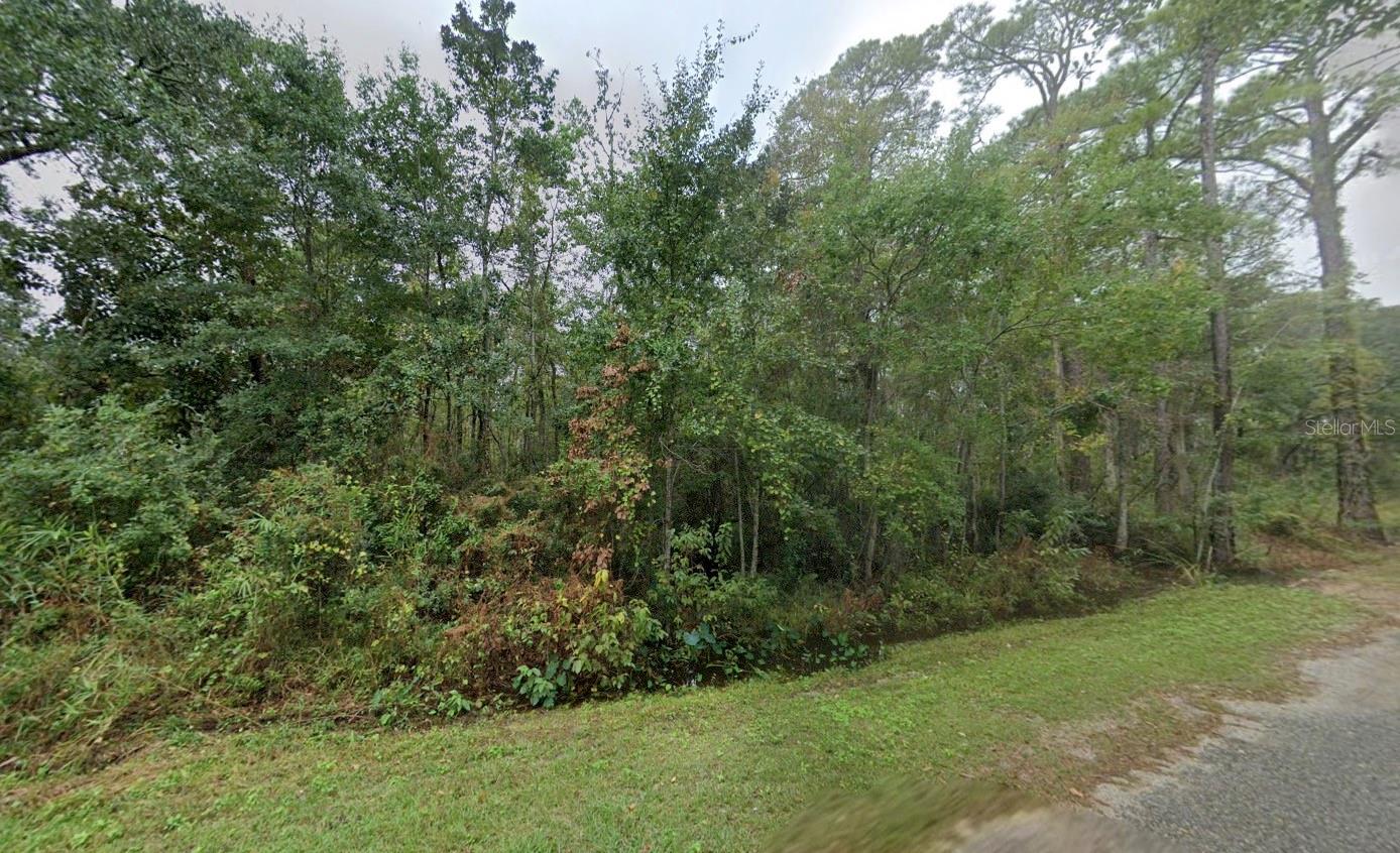 6339 Grey Heron Dr Property Photo 2
