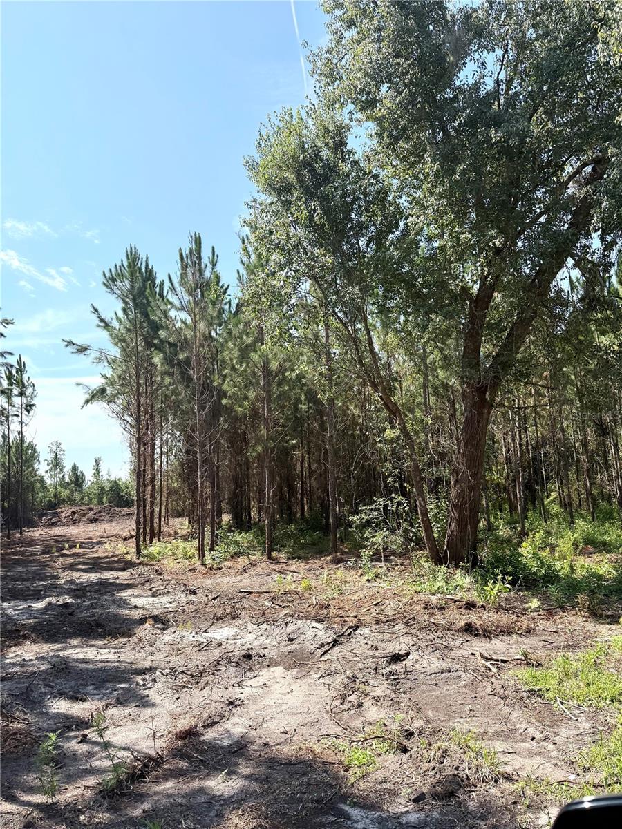 Arnold Rhoden Rd Property Photo 4