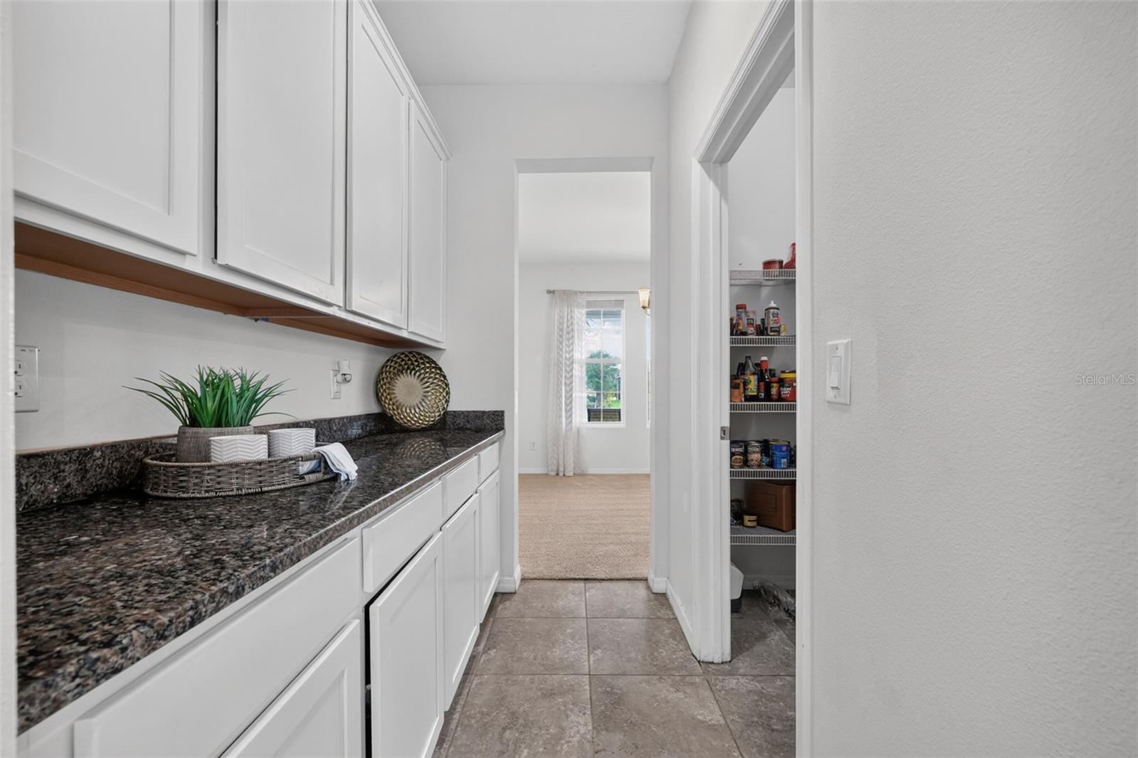 6541 Devesta Loop Property Photo 19