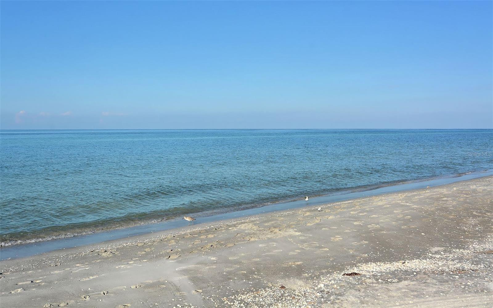 2089 Gulf Of Mexico Dr #g1-104 Property Photo 57
