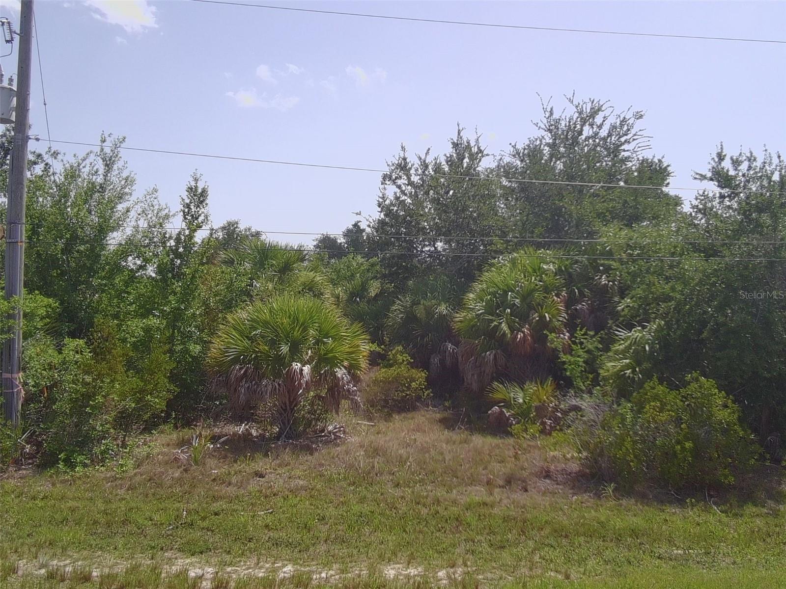 8089 BOSCO RD Property Photo 1