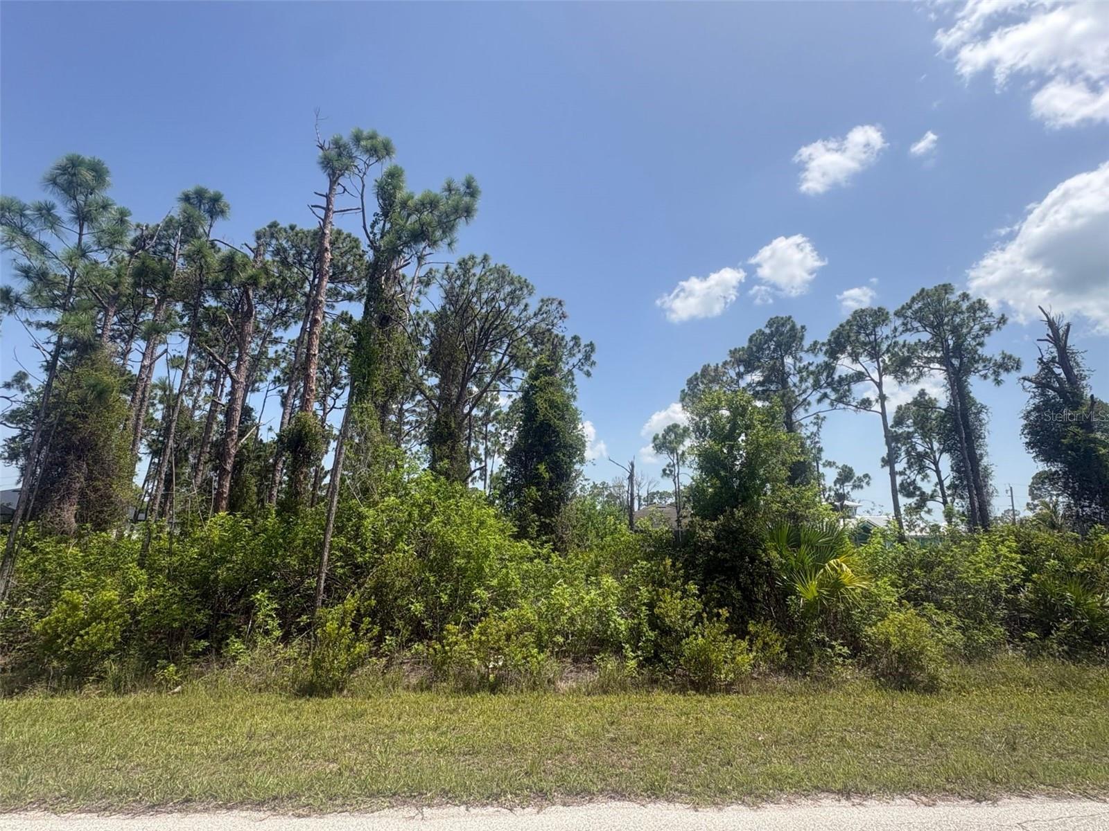 14201 NAYLOR AVE Property Photo 1