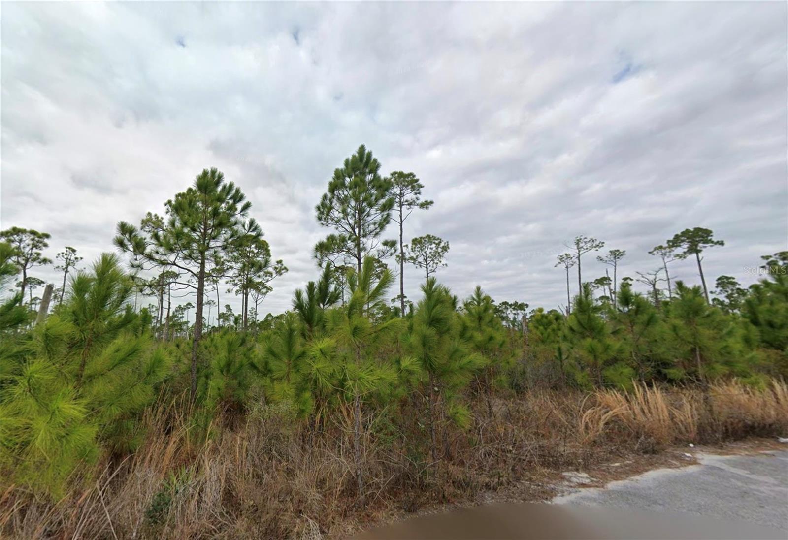 2706 Sting Ray Rd Property Photo 2