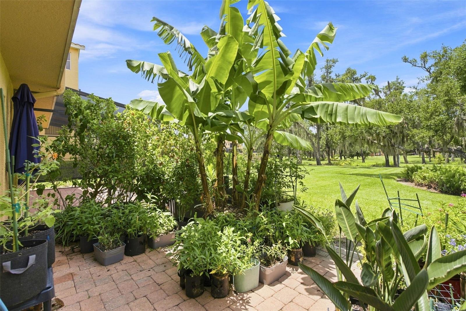 1308 3rd Street Cir E Property Photo 6