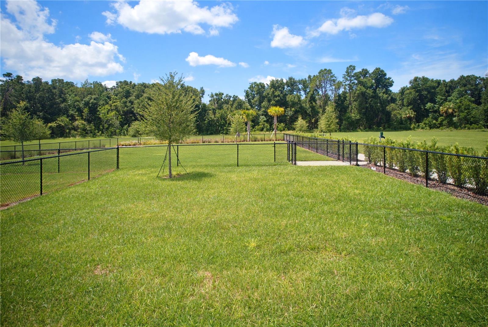 3432 Islewood Ct Property Photo 27