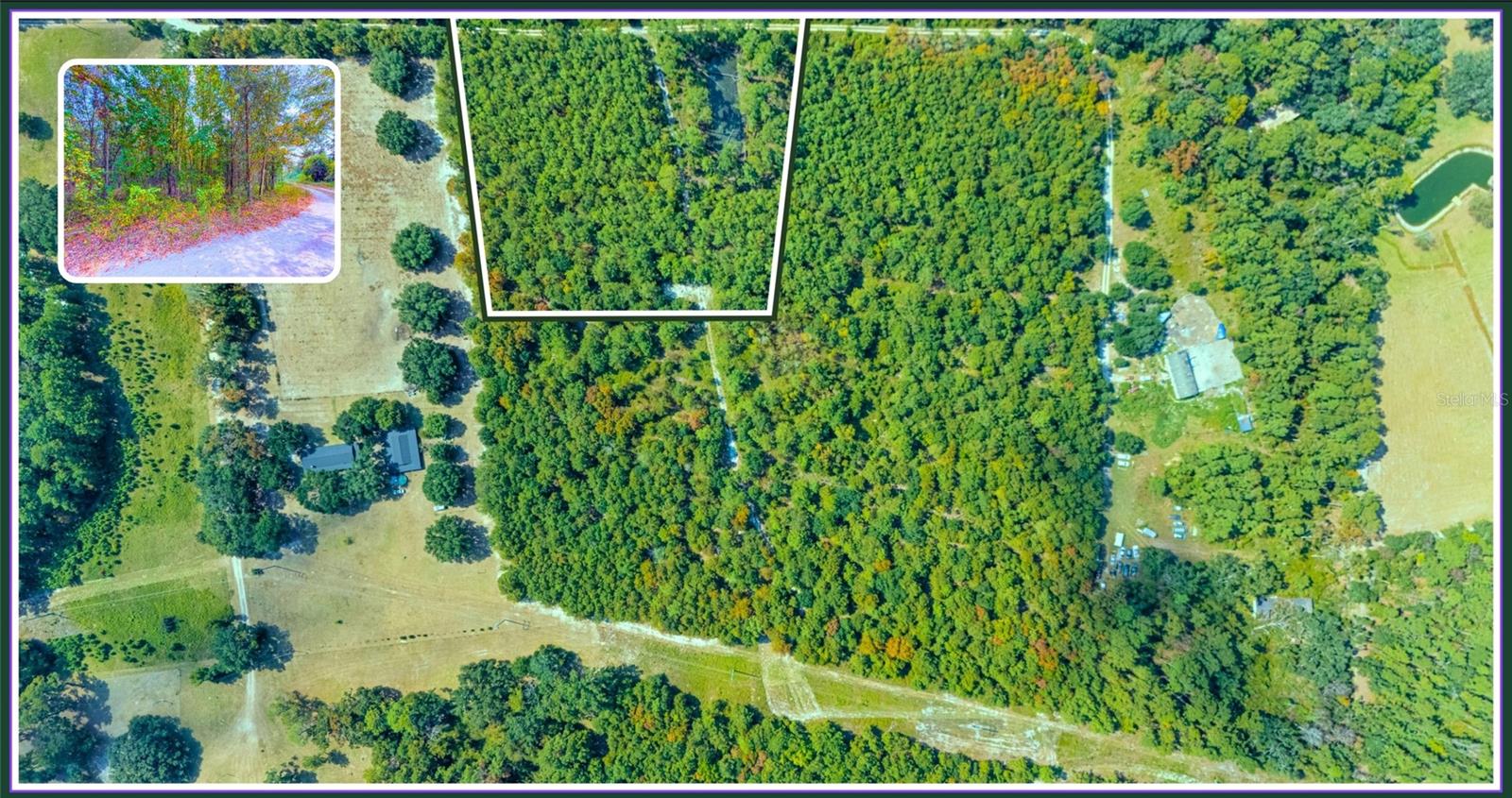 Tbd Lot 36 Se Us 41 Hwy Property Photo 8