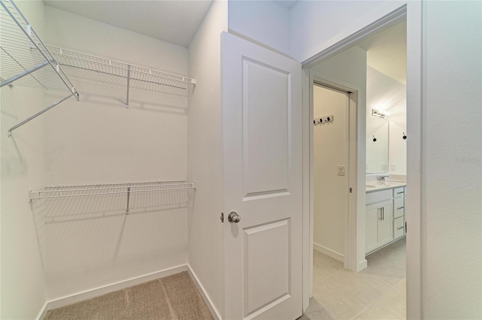 12703 Blue Reflection Ave Property Photo 32