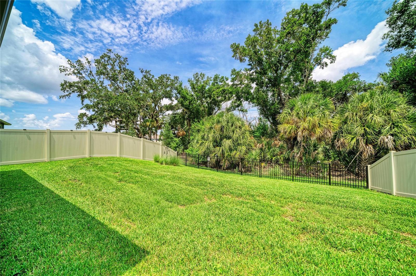 12703 Blue Reflection Ave Property Photo 51