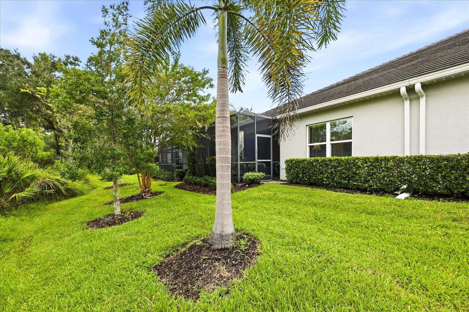 3036 Sky Blue Cv Property Photo 38