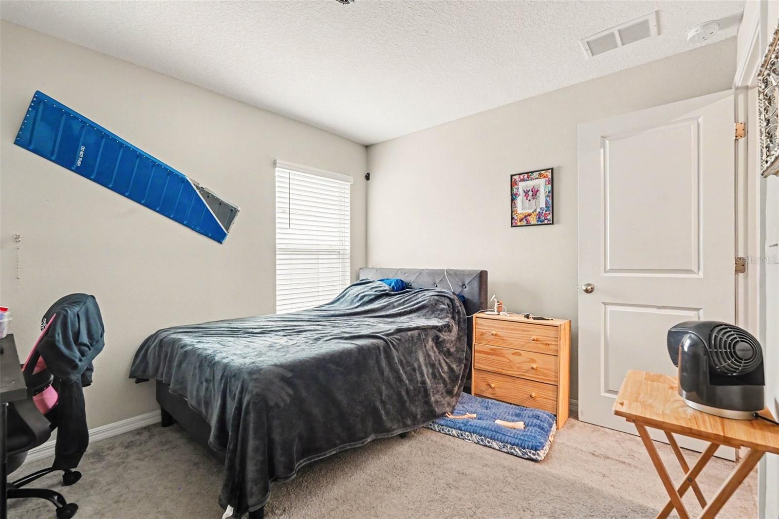 17054 Yellow Pine St Property Photo 19