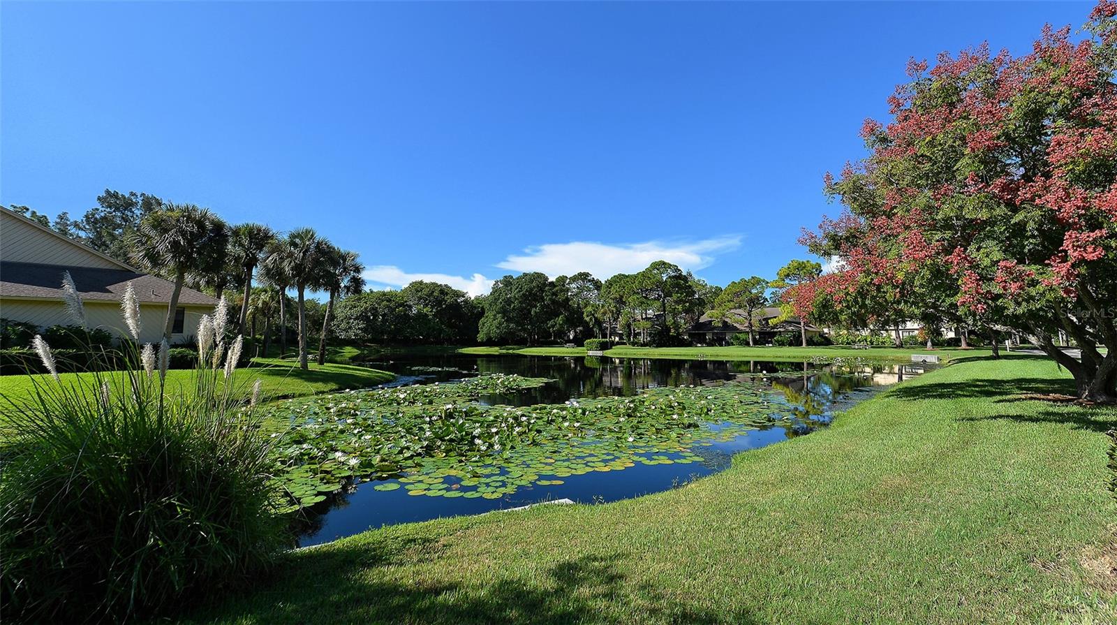 3715 Pinecone Ct #169 Property Photo 61