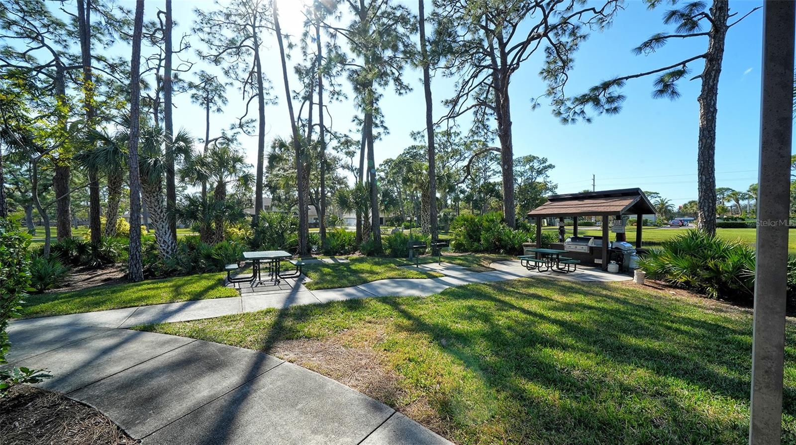 3715 Pinecone Ct #169 Property Photo 65