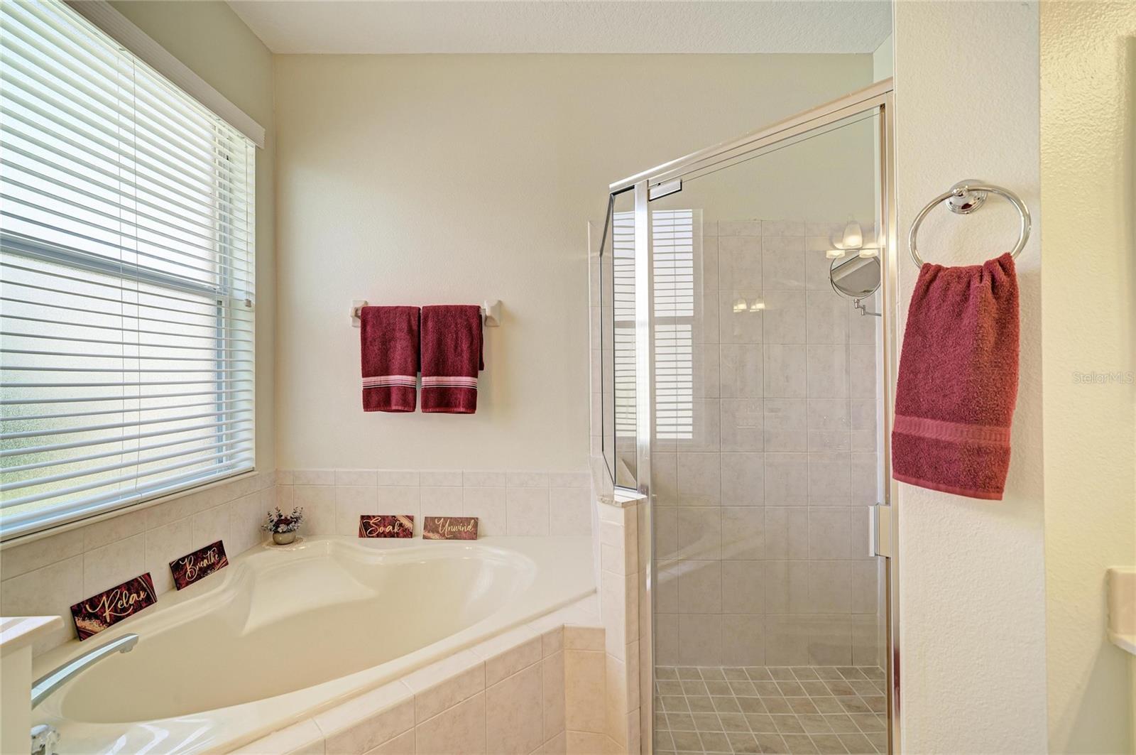 1401 Pinyon Pine Dr Property Photo 35