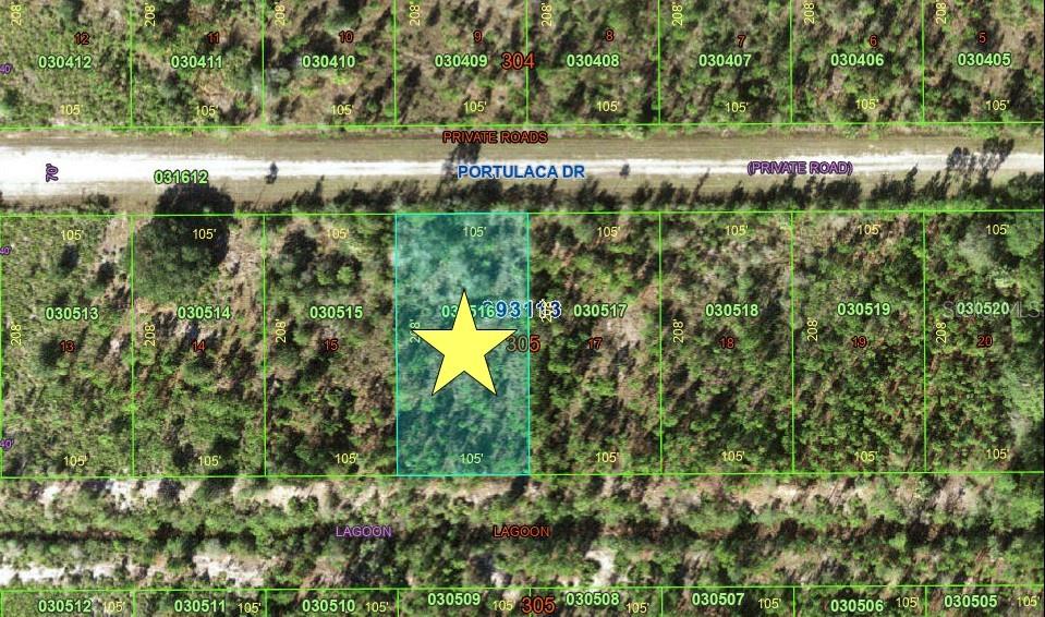 1017 Portulaca Dr Property Photo 4
