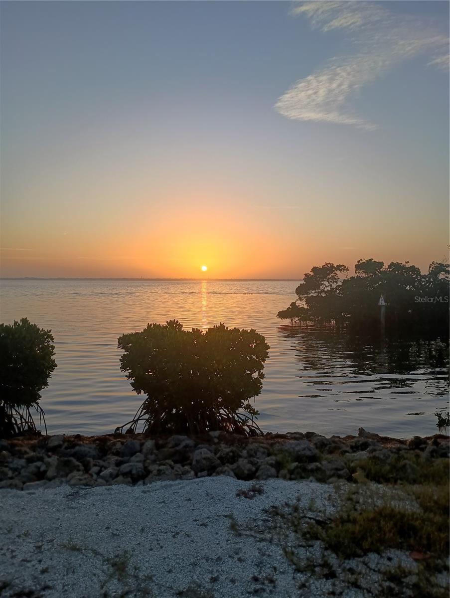 2600 Harbourside Dr #p-05 Property Photo 12