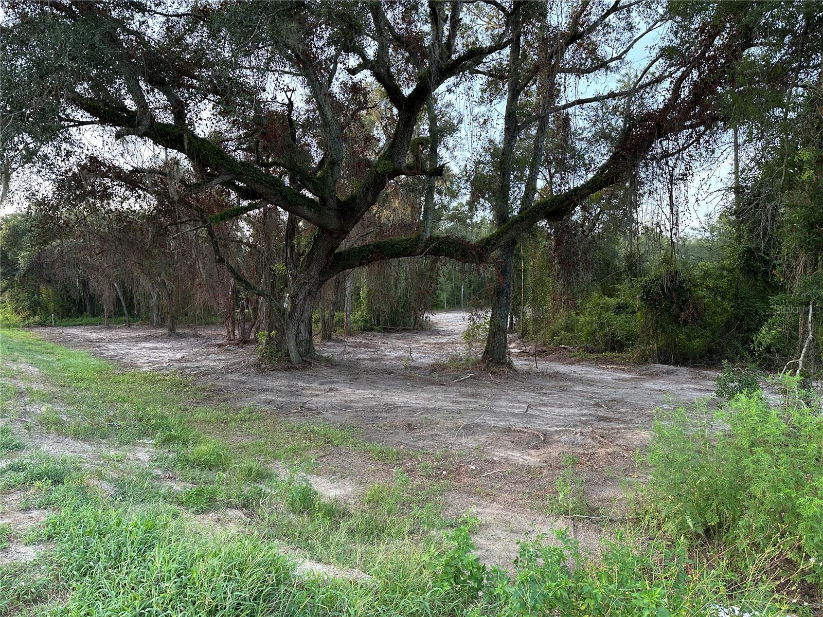 Cr 49 Property Photo 3