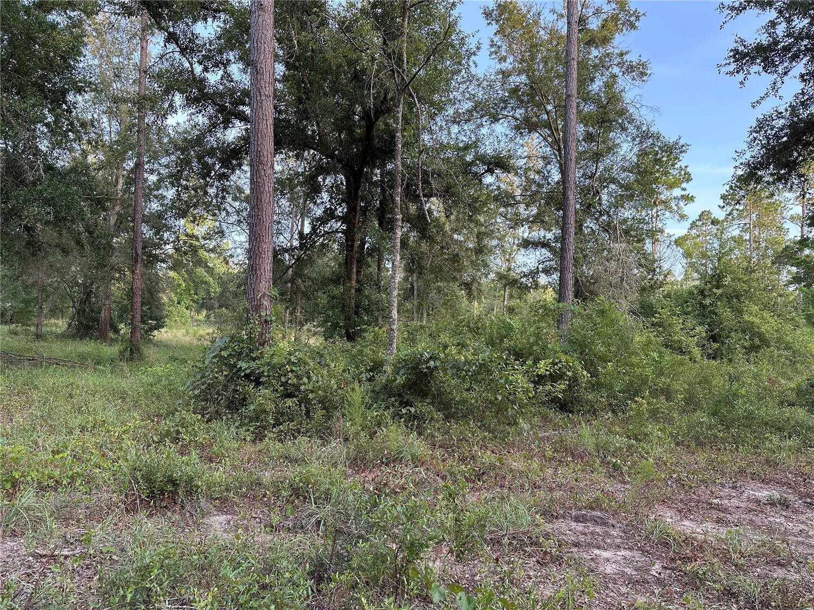 Cr 49 Property Photo 15