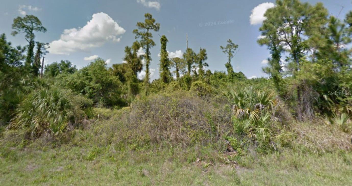 Lot 4 Pimento Cir Property Photo 4
