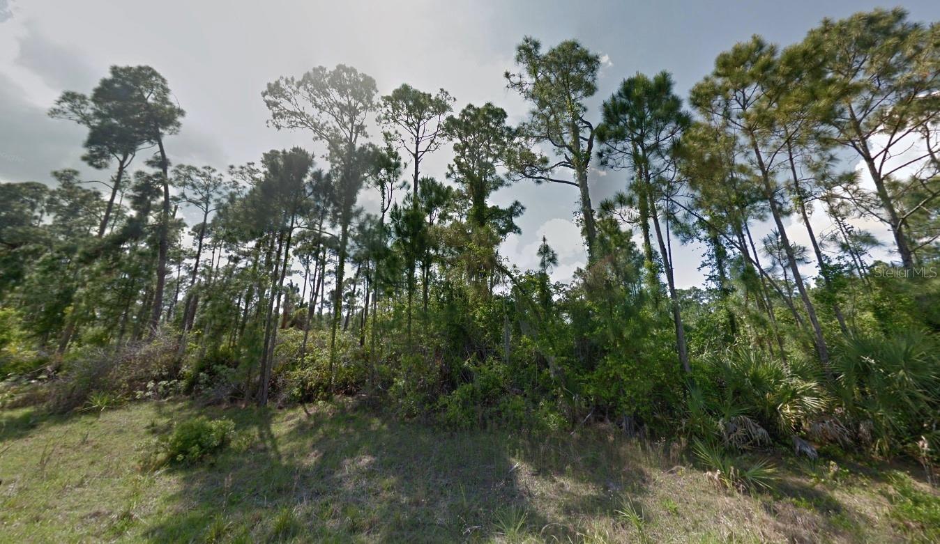 Lot 15 Pimento Cir Property Photo 3