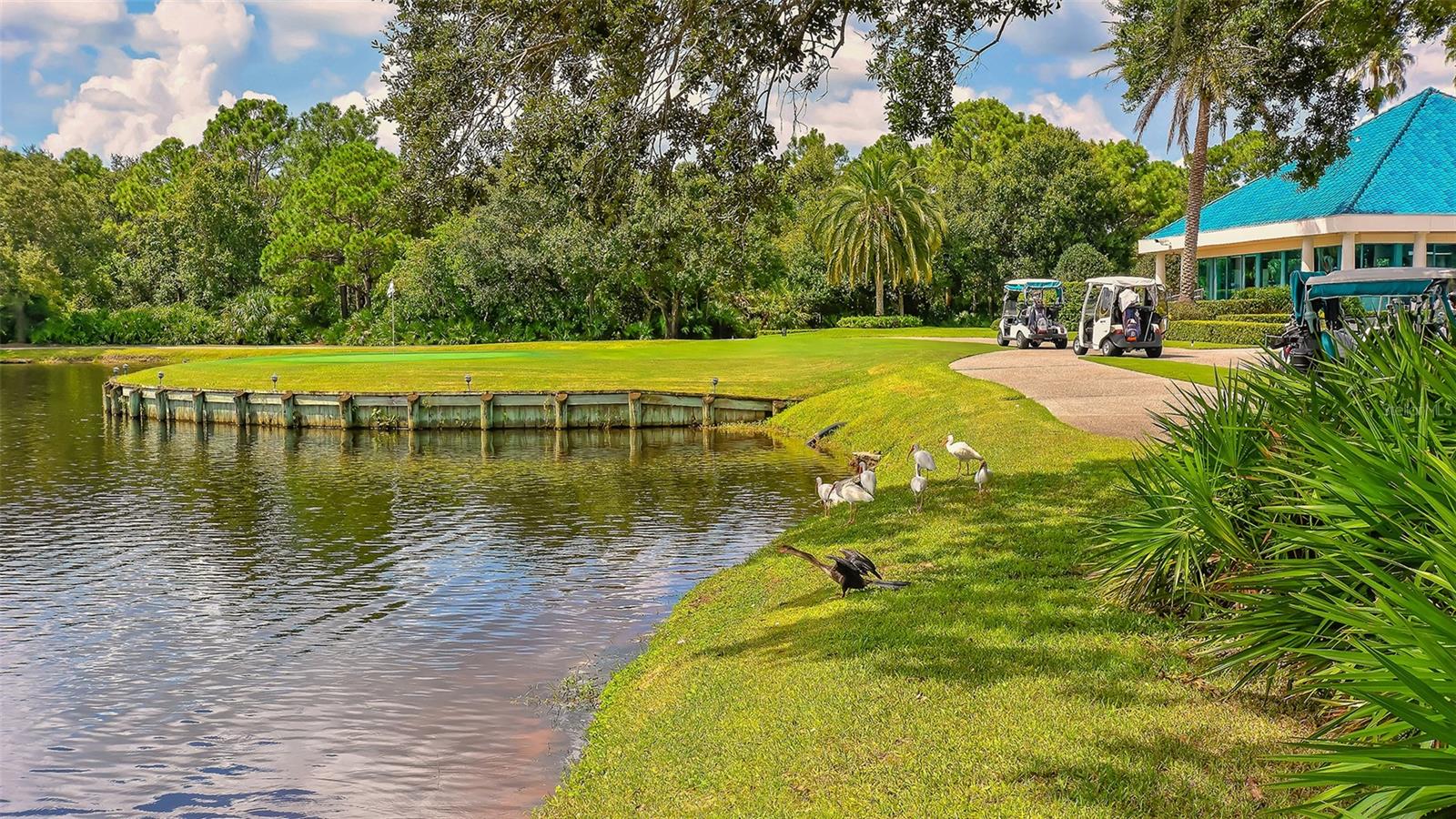 6682 Saint James Xing Property Photo 97